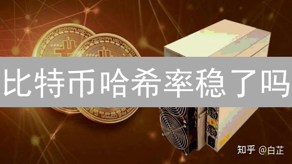 比特币哈希率稳了吗？机构动向揭示未来走向！