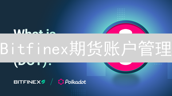 Bitfinex期货账户管理：新手必看，如何稳健盈利？