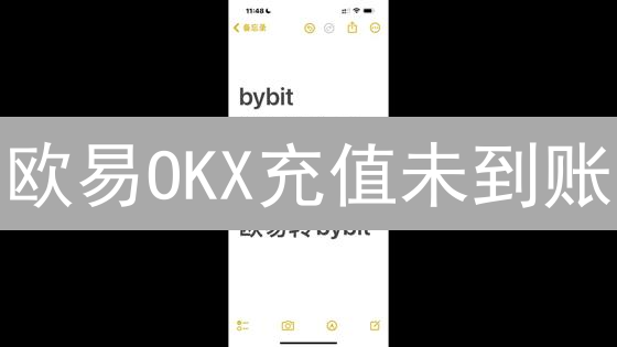 欧易OKX充值未到账？别慌！5步排查+客服协助，资金安全有保障！
