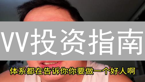 VV投资指南：2024年VirtualVersions价值、风险与未来趋势深度剖析！